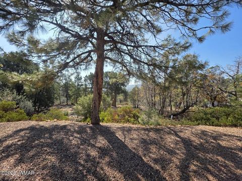 Tiny photo for 949 Geronimo Lane, Show Low, AZ 85901 (MLS # 260236)