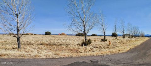 Tiny photo for 1350 W Farmhouse Drive, Taylor, AZ 85939 (MLS # 259548)