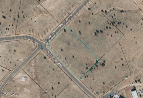 Tiny photo for 1350 W Farmhouse Drive, Taylor, AZ 85939 (MLS # 259548)