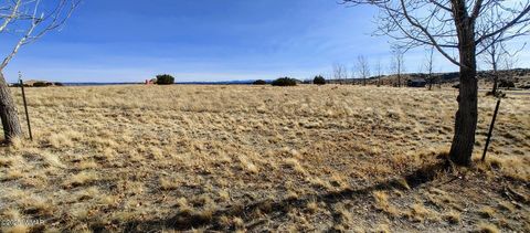 Tiny photo for 1350 W Farmhouse Drive, Taylor, AZ 85939 (MLS # 259548)