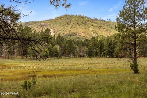 Tiny photo for 16 County Road 2271, Alpine, AZ 85920 (MLS # 263067)