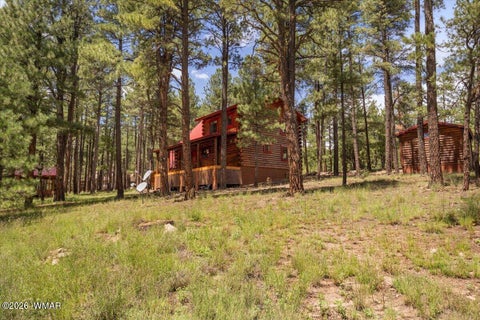 Tiny photo for 16 County Road 2271, Alpine, AZ 85920 (MLS # 263067)