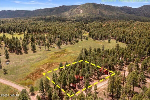 Tiny photo for 16 County Road 2271, Alpine, AZ 85920 (MLS # 263067)