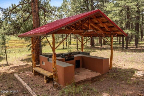 Tiny photo for 16 County Road 2271, Alpine, AZ 85920 (MLS # 263067)