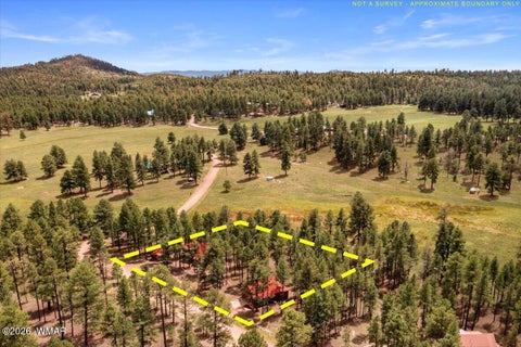 Tiny photo for 16 County Road 2271, Alpine, AZ 85920 (MLS # 263067)