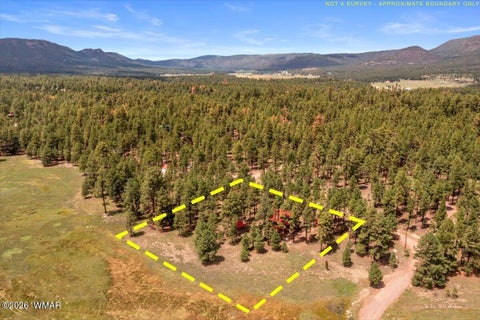Tiny photo for 16 County Road 2271, Alpine, AZ 85920 (MLS # 263067)