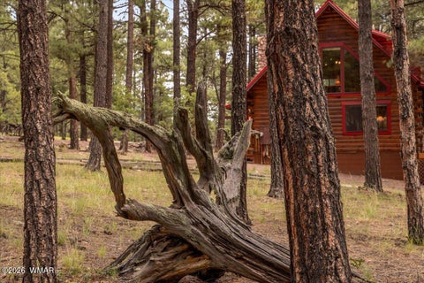 Tiny photo for 16 County Road 2271, Alpine, AZ 85920 (MLS # 263067)
