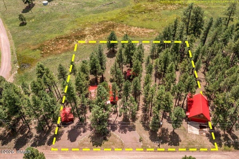 Tiny photo for 16 County Road 2271, Alpine, AZ 85920 (MLS # 263067)