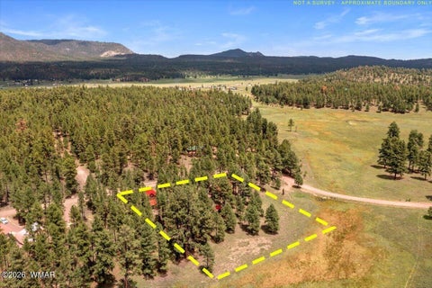 Tiny photo for 16 County Road 2271, Alpine, AZ 85920 (MLS # 263067)