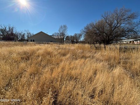 Photo of 464 S WEST Street, Springerville, AZ 85938 (MLS # 253883)