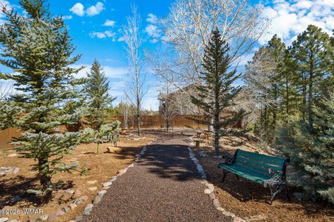 Tiny photo for 4770 W Covered Wagon Trail, Show Low, AZ 85901 (MLS # 259966)