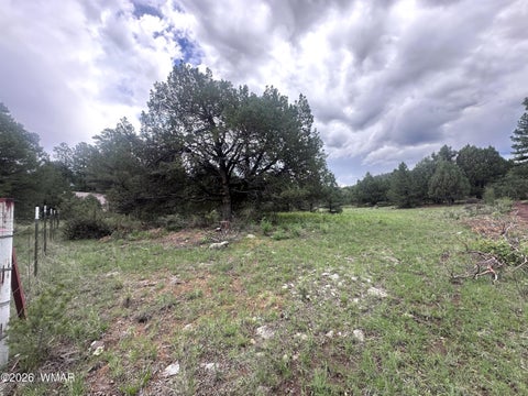 Photo of Greer, AZ 85927 (MLS # 262426)