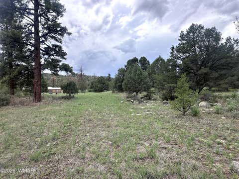 Tiny photo for Greer, AZ 85927 (MLS # 262426)