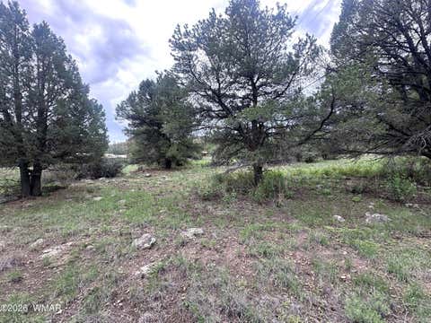 Tiny photo for Greer, AZ 85927 (MLS # 262426)