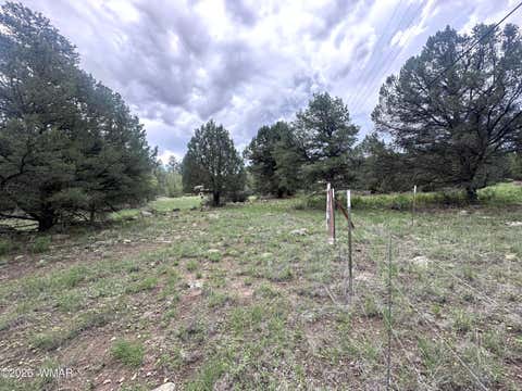 Tiny photo for Greer, AZ 85927 (MLS # 262426)