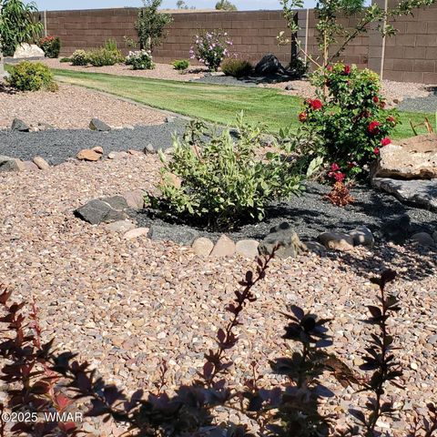 Tiny photo for 1030 N Crown Circle Cir, Taylor, AZ 85939 (MLS # 255946)