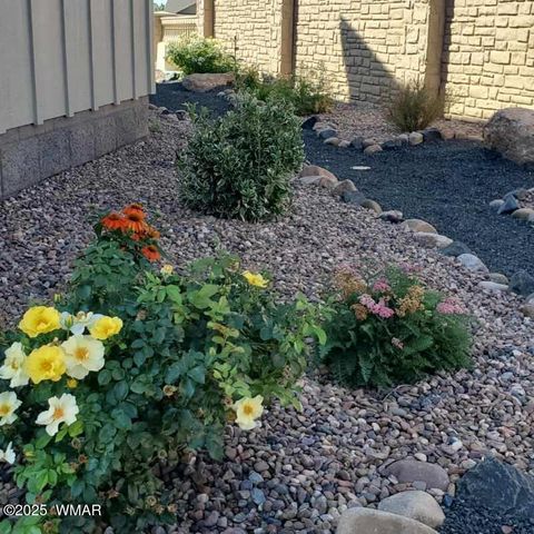 Tiny photo for 1030 N Crown Circle Cir, Taylor, AZ 85939 (MLS # 255946)