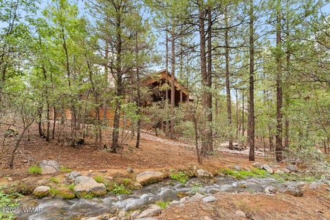 Tiny photo for 3871 W Sugar Pine Way, Show Low, AZ 85901 (MLS # 263021)