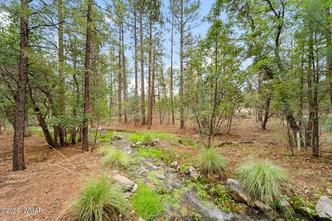 Tiny photo for 3871 W Sugar Pine Way, Show Low, AZ 85901 (MLS # 263021)