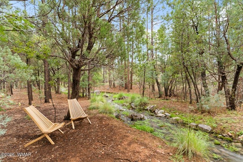 Tiny photo for 3871 W Sugar Pine Way, Show Low, AZ 85901 (MLS # 263021)