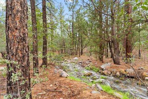 Tiny photo for 3871 W Sugar Pine Way, Show Low, AZ 85901 (MLS # 263021)