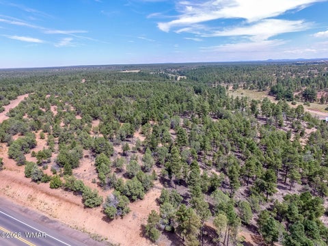 Tiny photo for TBD N 43rd Avenue, Show Low, AZ 85901 (MLS # 263440)
