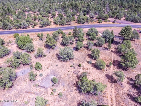 Tiny photo for TBD N 43rd Avenue, Show Low, AZ 85901 (MLS # 263440)