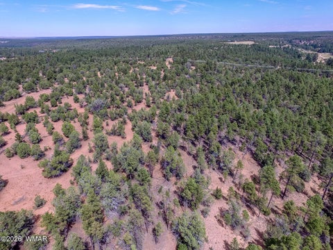 Tiny photo for TBD N 43rd Avenue, Show Low, AZ 85901 (MLS # 263440)