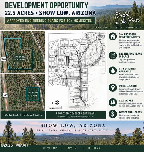 Tiny photo for TBD N 43rd Avenue, Show Low, AZ 85901 (MLS # 263440)