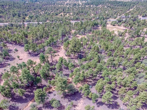 Tiny photo for TBD N 43rd Avenue, Show Low, AZ 85901 (MLS # 263440)