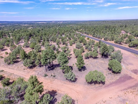 Tiny photo for TBD N 43rd Avenue, Show Low, AZ 85901 (MLS # 263440)
