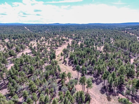 Tiny photo for TBD N 43rd Avenue, Show Low, AZ 85901 (MLS # 263440)