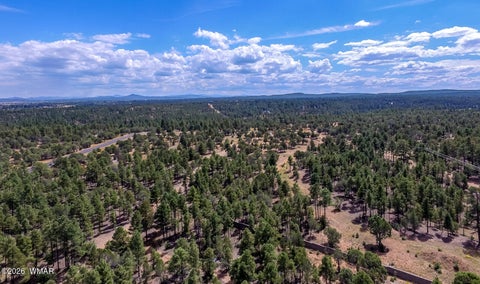 Tiny photo for TBD N 43rd Avenue, Show Low, AZ 85901 (MLS # 263440)
