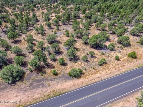 Tiny photo for TBD N 43rd Avenue, Show Low, AZ 85901 (MLS # 263440)