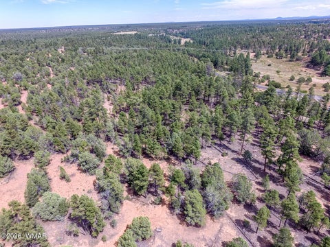 Tiny photo for TBD N 43rd Avenue, Show Low, AZ 85901 (MLS # 263440)