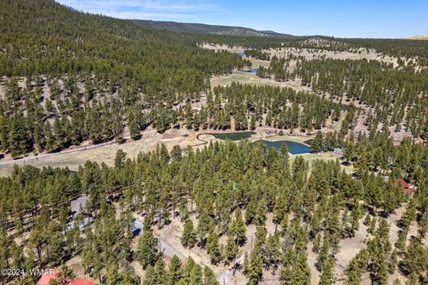 Tiny photo for 9 CR N 1029 Street, Greer, AZ 85927 (MLS # 250707)