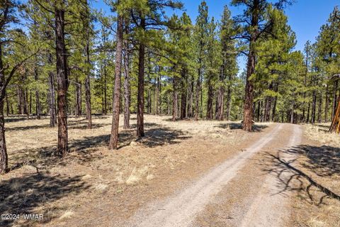 Tiny photo for 9 CR N 1029 Street, Greer, AZ 85927 (MLS # 250707)