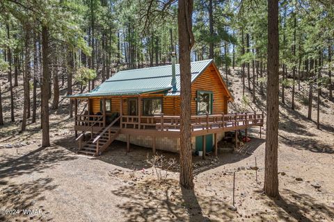 Tiny photo for 9 CR N 1029 Street, Greer, AZ 85927 (MLS # 250707)