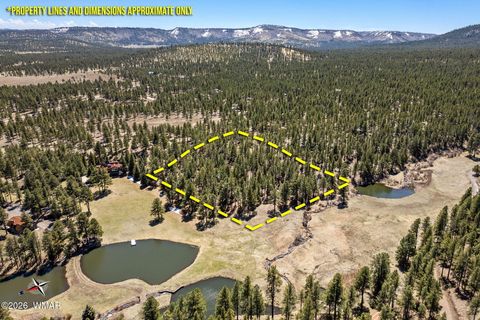 Tiny photo for 9 CR N 1029 Street, Greer, AZ 85927 (MLS # 250707)
