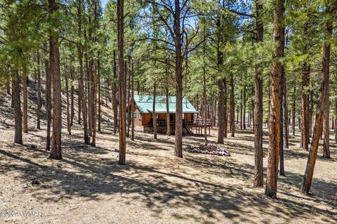 Tiny photo for 9 CR N 1029 Street, Greer, AZ 85927 (MLS # 250707)