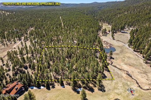 Tiny photo for 9 CR N 1029 Street, Greer, AZ 85927 (MLS # 250707)