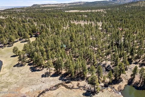 Tiny photo for 9 CR N 1029 Street, Greer, AZ 85927 (MLS # 250707)