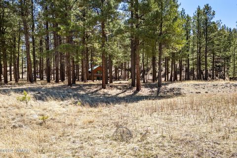 Tiny photo for 9 CR N 1029 Street, Greer, AZ 85927 (MLS # 250707)