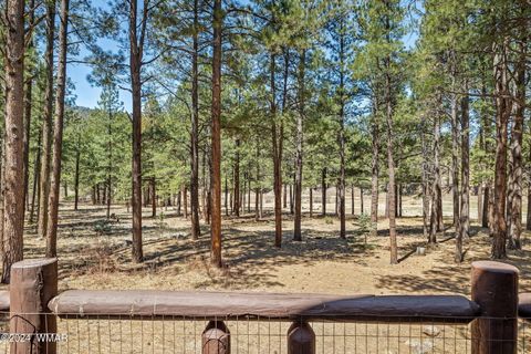 Tiny photo for 9 CR N 1029 Street, Greer, AZ 85927 (MLS # 250707)
