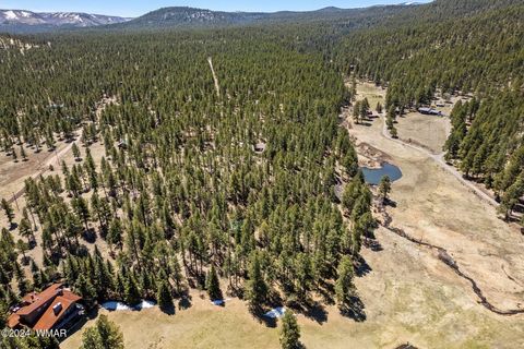 Tiny photo for 9 CR N 1029 Street, Greer, AZ 85927 (MLS # 250707)