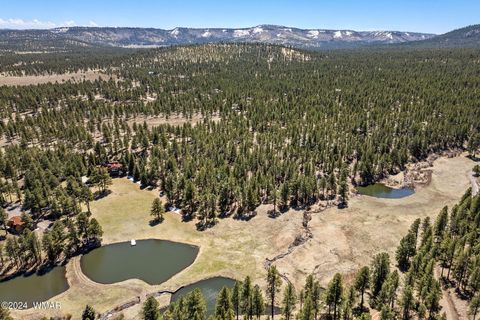 Tiny photo for 9 CR N 1029 Street, Greer, AZ 85927 (MLS # 250707)