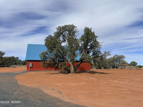 Tiny photo for 5462 County Line Road, Snowflake, AZ 85937 (MLS # 259538)