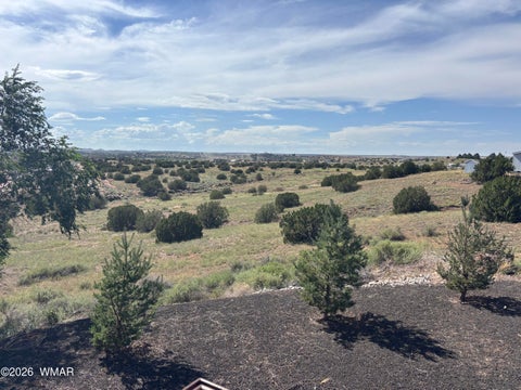 Tiny photo for 1099 S Kellis Boulevard, Snowflake, AZ 85937 (MLS # 262891)