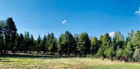 Photo of 9592 Sierra Springs Drive, Pinetop, AZ 85935 (MLS # 260067)