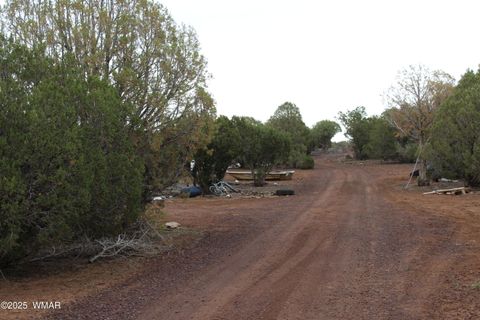 Tiny photo for Sec 8 T11N, R22E:, White Mountain Lake, AZ 85912 (MLS # 258102)